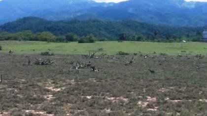 ARQUITECTO EN EL ESTADO DE GUERRERO, MEXICO.