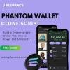 Phantom Power- Build Your Secure Crypto Wallet with Plurance